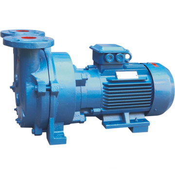 Water Ring Vacuum Pump (2BV)